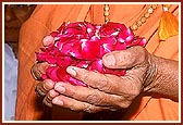 The mantra pushpanjali ritual - Swamishri offers flowers to the murtis