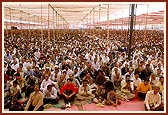 Devotees seated in the morning murti pratishtha assembly