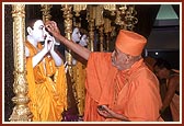... pujan of Shri Radha Krishna Dev