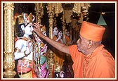 ... pujan of Shri Sita Ram Dev and Shri Hanumanji