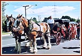 ...horse-drawn carriage