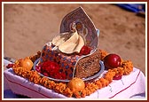 Shri Harikrishna Maharaj during the ritual ceremony