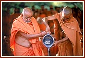 Swamishri pours water