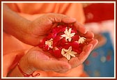 Swamishri with flowers for the mantra pushpanjali ritual
