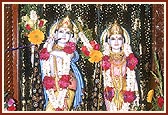 Shri Radha Krishna Dev