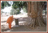 Swamishri reads the plaque on the memorial shrine 