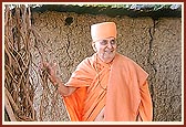 Swamishri engaged in darshan of the sacred banyan tree