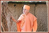 Swamishri engaged in darshan of the sacred banyan tree