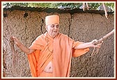 Swamishri engaged in darshan of the sacred banyan tree