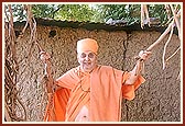 Swamishri swings with the branches of the banyan in his hands