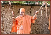 Swamishri swings with the branches of the banyan in his hands