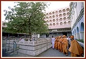 Darshan of the neem tree in Dada Khachar's darbar 