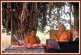 Swamishri performed his morning puja at the Amblivali Farm while sadhus and parshads have darshan