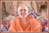 Swamishri discourses to the sadhus, with the sacred ambli (tamarind tree) in the backdrop