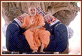 Swamishri discourses to the sadhus, with the sacred ambli (tamarind tree) in the backdrop