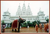 One of the elephants of Jagannath Mandir raises his trunk to honor Swamishri at the Shri Swaminarayan Mandir, Shahibaug