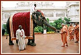 Swamishri blesses and offers apples and bananas to the elephant