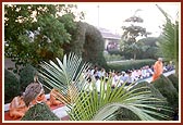 A baby peacock is also engaged in darshan of Swamishri walking