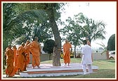 Swamishri performs pradakshina of the tree sanctified by Brahmaswarup Shastriji Maharaj