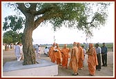 Swamishri explains the glory of another tree sanctified by Brahmaswarup Shastriji Maharaj