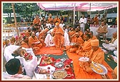 Performing arti