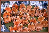 Sadhus engrossed in darshan
