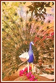 Decorative peacock