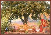 Swamishri blesses the assembly
