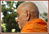 Swamishri's morning puja