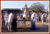 Local devotees make a Kathiavadi mare perform various shows before Swamishri. The mare dances to the rhythm of a dhol. It even dances on a latticed-bed of nylon ropes 