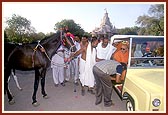 Swamishri blesses the nationally acclaimed cattle and horse of BAPS Swaminarayan Gaushala