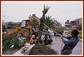 Sadhu and youth volunteers planting a tree at 'Bharat Upvan'