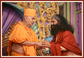 Swamishri meets Pujya Chidanandmuniji 