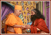 Swamishri meets Pujya Chidanandmuniji 