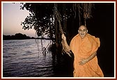 Swamishri holds a branch of the banyan tree