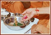 ... bathes Shri Harikrishna Maharaj with panchamrut 