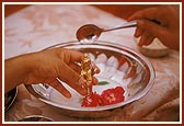 ... bathes Shri Harikrishna Maharaj with panchamrut 