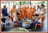 Swamishri minutely inspects prasadam to be distributed after dedication ceremony of two villages constructed by BAPS