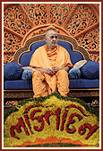 Swamishri during Bhakti Din assembly