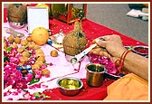 Swamishri takes water in a spoon as part of the concluding mahapuja ritual (Purnahuti Sankalp) 