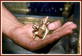 The Lalji that was worshiped by Laduba and had on one occasion drank the milk offered by her
